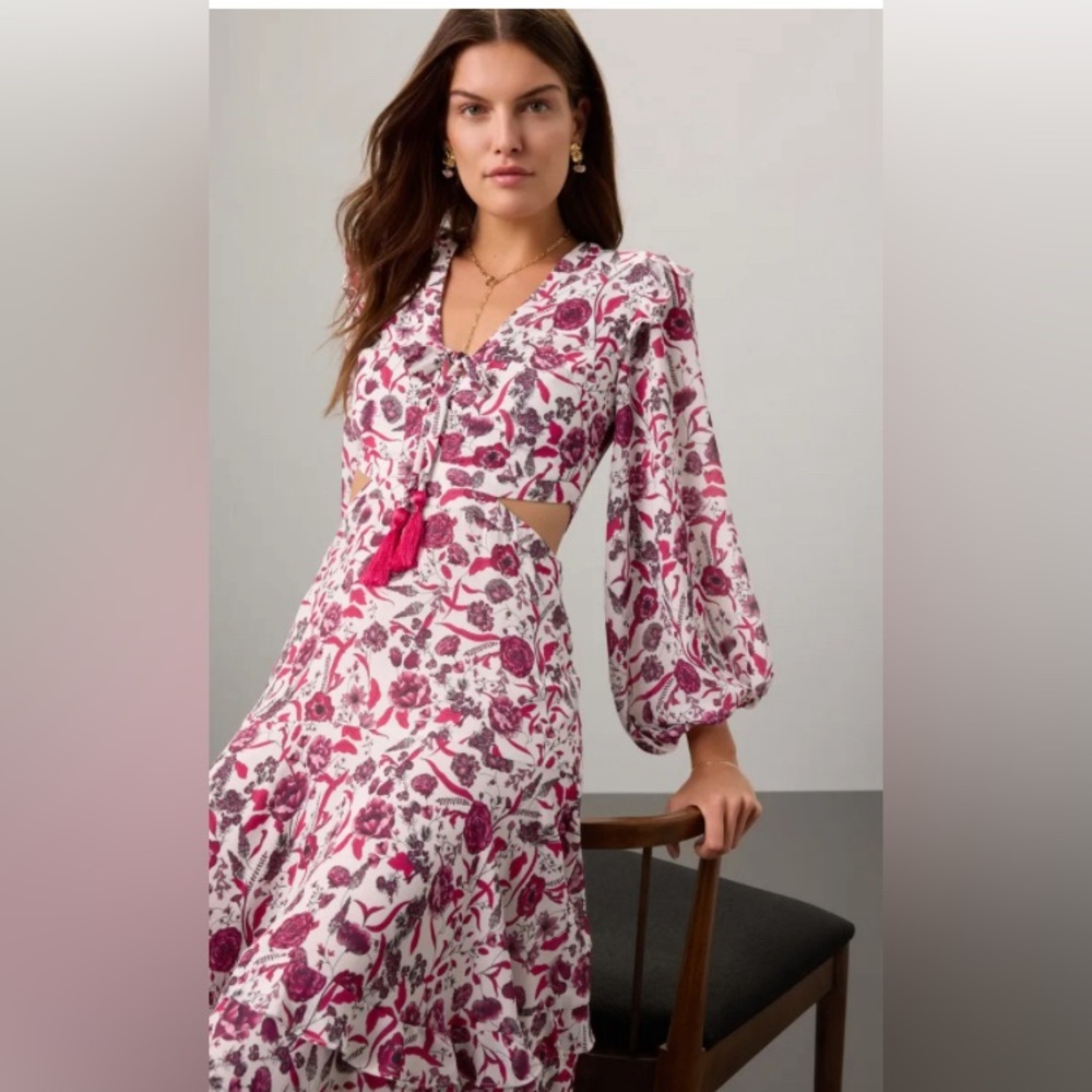 Nakkita dress- Alexis